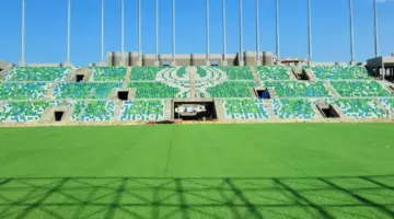 الرياضة تعلن إتمام زراعة نجيل ستاد المصري الجديد .. صور